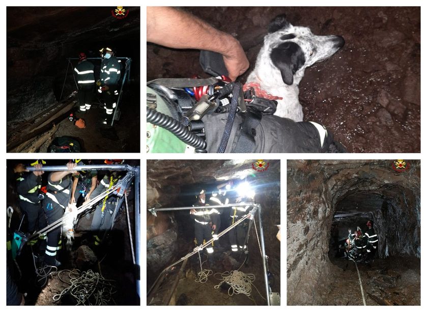 Intervento dei Vigili del fuoco a Nè: salvato un cane caduto in un pozzo (FOTO)