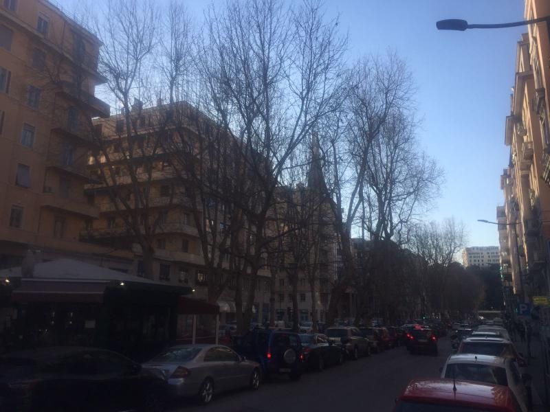 Foce, rivolta contro gli escrementi dei volatili sulle auto in via Cecchi Foce, rivolta contro gli escrementi dei volatili sulle auto in via Cecchi