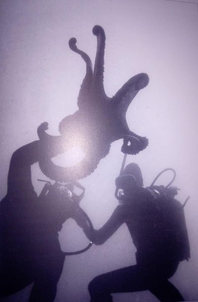 Il Centro Civico Buranello esplora le profondità marine e propone foto emozionanti ed uniche (FOTO)