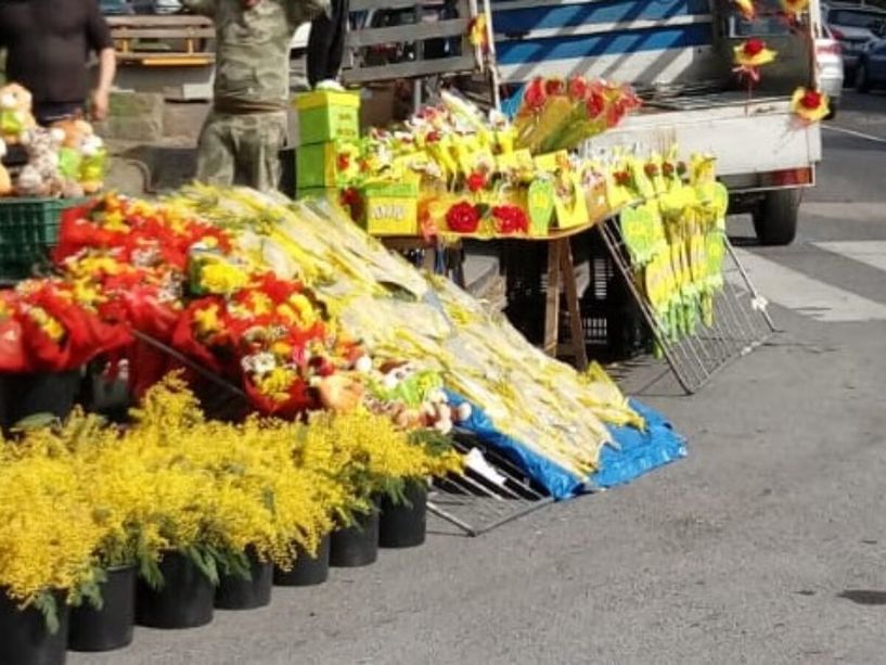 Gara di solidarietà a Molassana per il venditore di mimose multato il giorno della Festa della Donna Gara di solidarietà a Molassana per il venditore di mimose multato il giorno della Festa della Donna