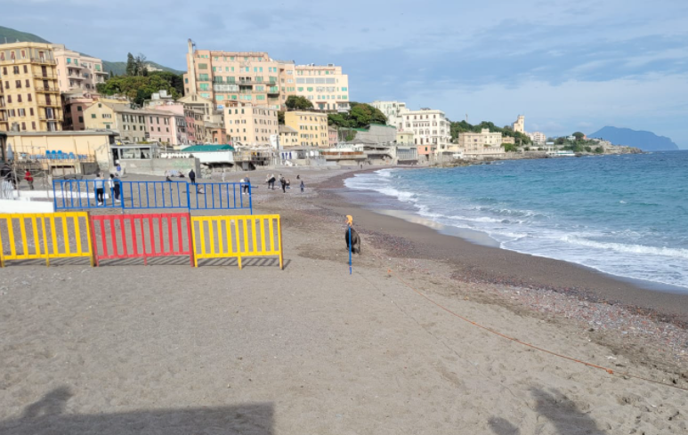 Cinghiale morde una donna a Sturla, il Municipio scrive al Prefetto: &quot;Si posizionino gabbie per catturarli&quot;