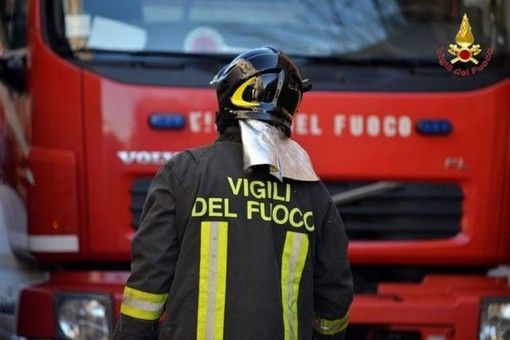 I vigili del fuoco di Chiavari salvano otto anatroccoli a Carasco (VIDEO)