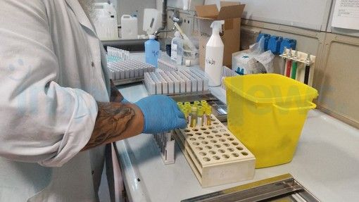 Coronavirus da record in Liguria anche a Natale: ancora oltre 1.450 nuovi casi con oltre 7.700 tamponi