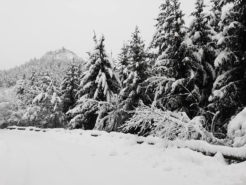 Il vaccino Anti-Covid anche agli Italiani all'estero. Lanciata una petizione