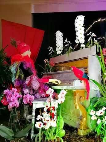 Festival delle Orchidee, a Menton non tutto è citron. La mostra aperta fino al 27 febbraio (Foto)