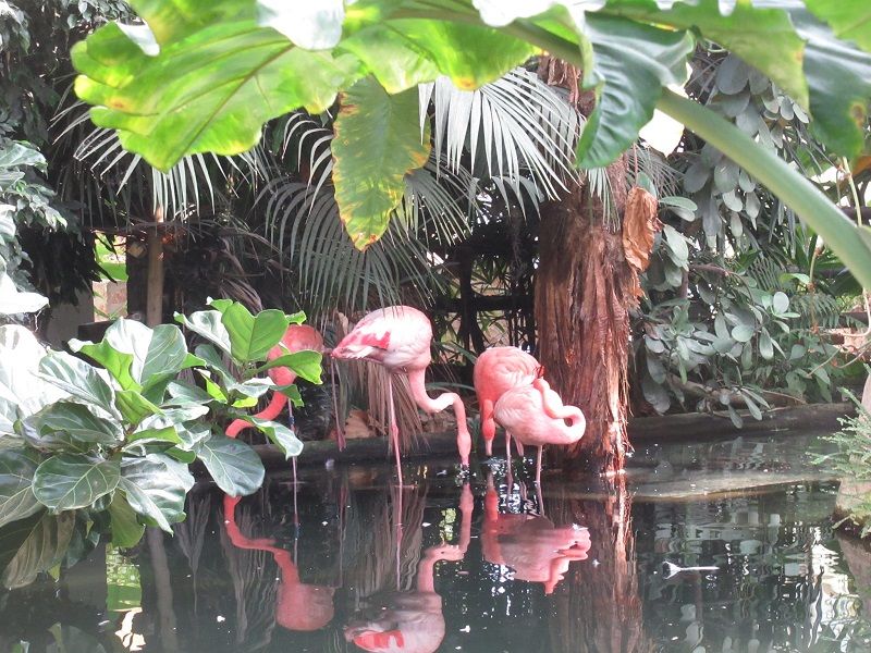 Mi sono sbagliato: per Pasqua tornerò al Parc Phoenix