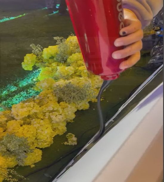 Sanremo: l'incursione di Greenpeace rovina la pavimentazione di via Matteotti, il comune chiederà i danni (Foto e Video)