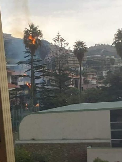 Maltempo: forti temporali su tutta la provincia, 40 mm di pioggia a Sanremo e palma incendiata a Santo Stefano