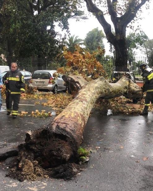 Allerta Rossa e maltempo: perturbazione in ritardo, cadono alberi a Ventimiglia e Pigna (Foto e Video)