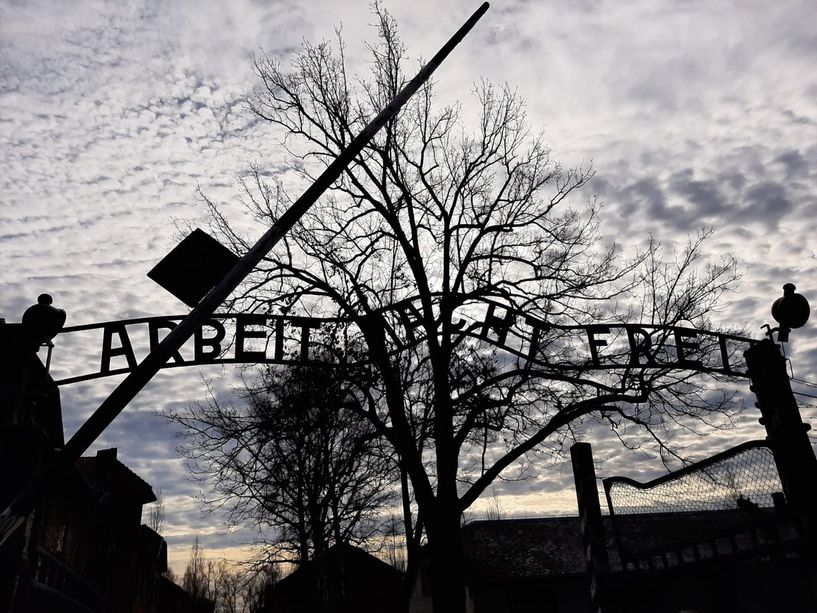 Cavalleri, il giovane filonazista arrestato a Savona, era stato ad Auschwitz grazie al suo lavoro studentesco sulla Resistenza