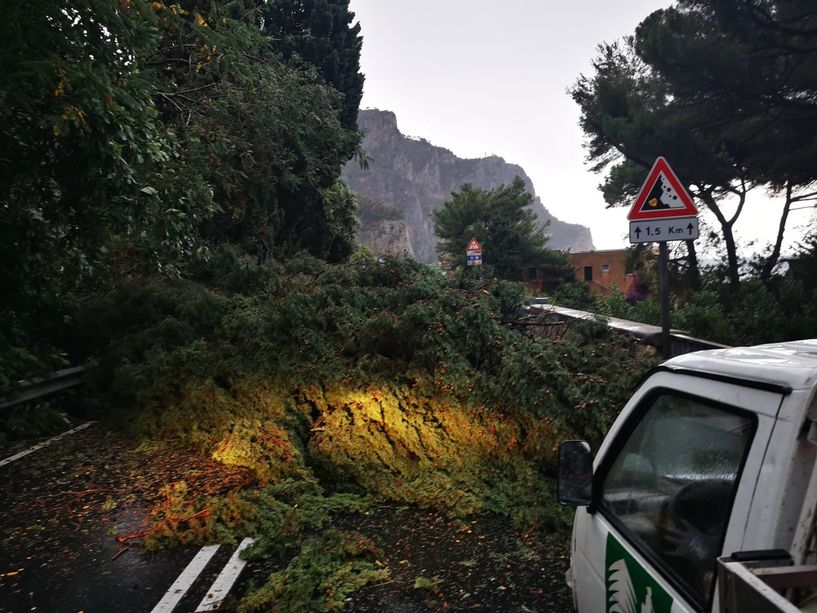 Finale, bomba d'acqua sulla costa. Crollano alcuni cipressi, detriti da Capo Noli: riaperta l'Aurelia tra Varigotti e Noli