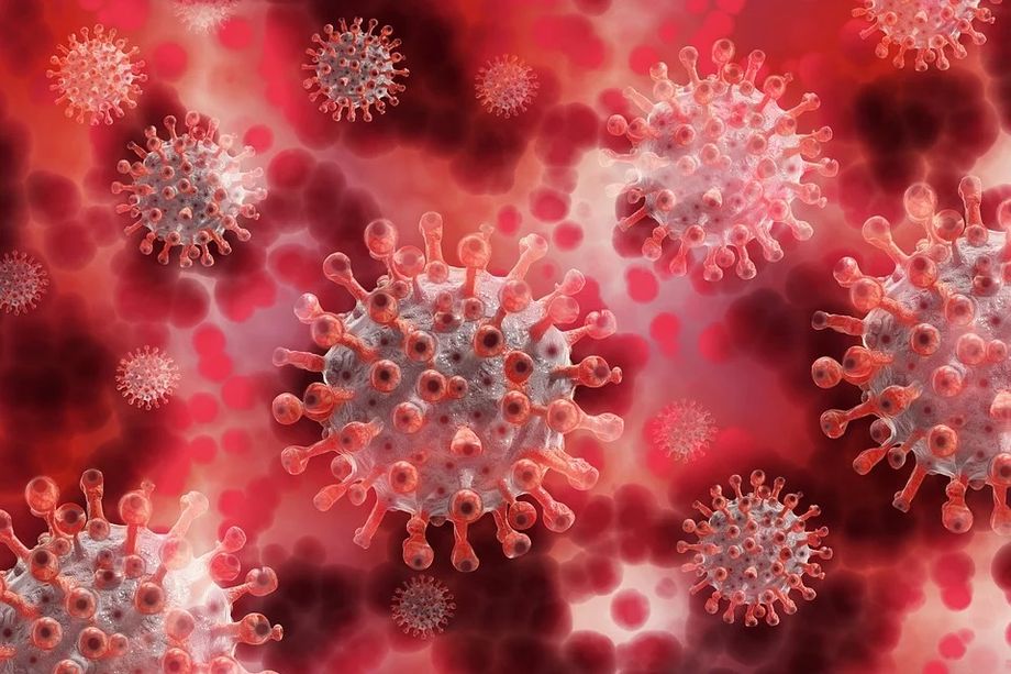 Coronavirus, sono 412 i positivi in Liguria nelle ultime 24 ore