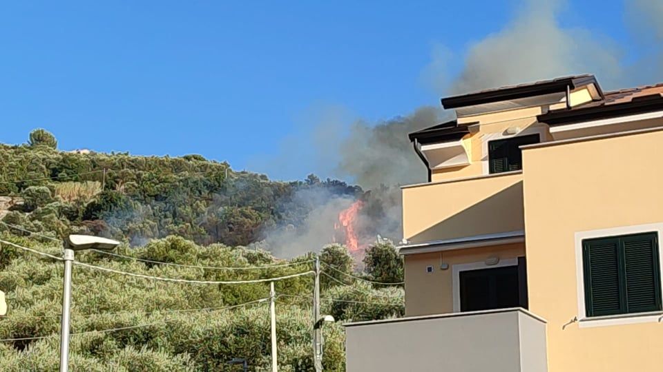 Finale, rogo sulle colline di Calvisio: in fiamme ulivi e orti (FOTO)