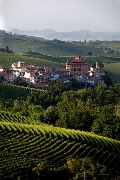 Barolo Città Italiana del Vino 2021: in calendario un anno di proposte