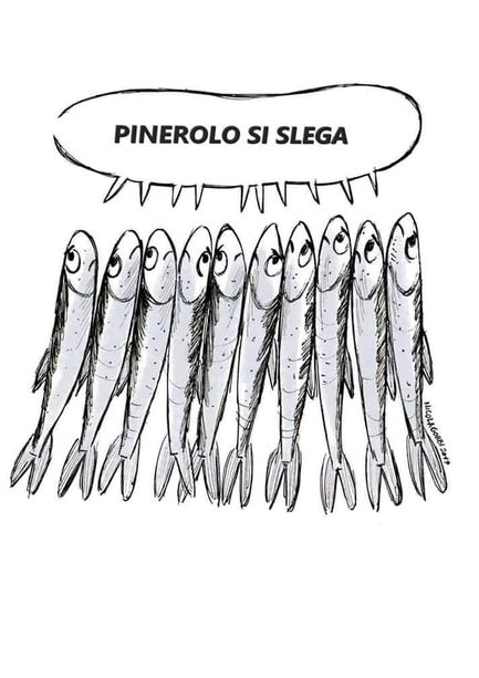 Anche “Pinerolo si slega”: domani le sardine in piazza Facta Anche “Pinerolo si slega”: domani le sardine in piazza Facta
