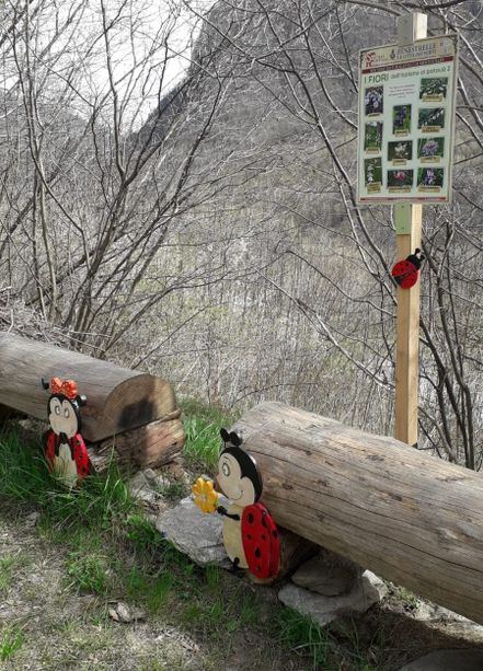 Guidati dalle coccinelle sul nuovo sentiero naturalistico di Mentoulles [FOTO]