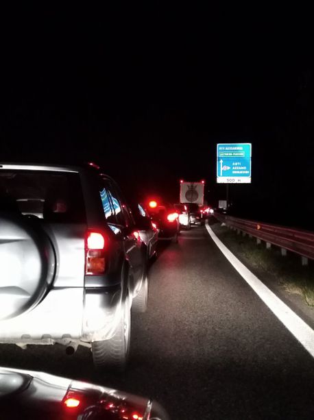 Grosso incidente in tangenziale a causa di alcuni cinghiali. Diverse auto coinvolte tra cui un'ambulanza Grosso incidente in tangenziale a causa di alcuni cinghiali. Diverse auto coinvolte tra cui un'ambulanza