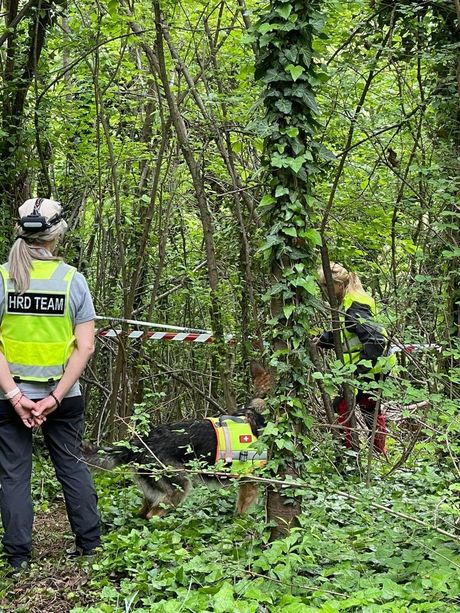 Caso Farinella: oggi trovati nuovi resti dello scheletro nei boschi dell'Astigiano