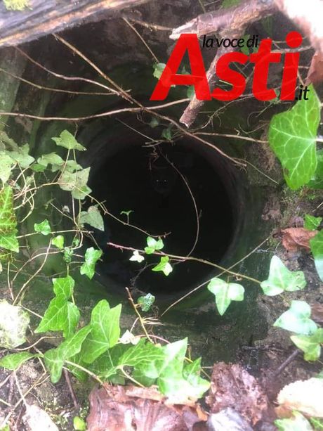 Castell’Alfero, in corso un intervento per salvare una cagnolina caduta in un pozzo scoperto [FOTO e VIDEO]