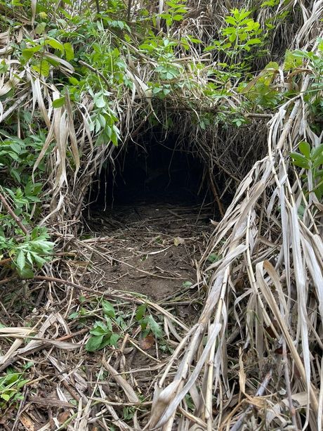 Si infittisce il mistero che circonda il caso Farinella: alterati i luoghi delle ricerche