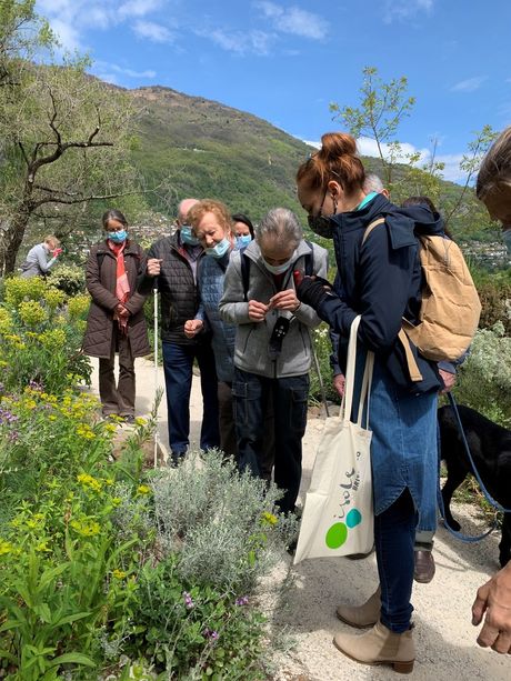 Le isole di Brissago al… buio o quasi