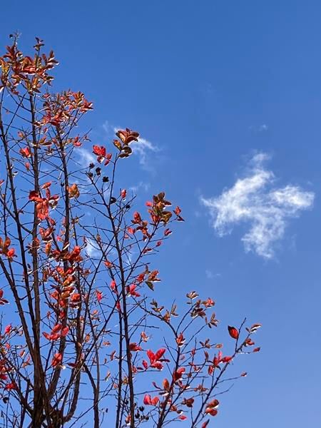 Villefranche sur Mer. Esposte le fotografie di Antanas Liutkus “Les lituaniens sur la Riviera” (Foto) Villefranche sur Mer. Esposte le fotografie di Antanas Liutkus “Les lituaniens sur la Riviera” (Foto)