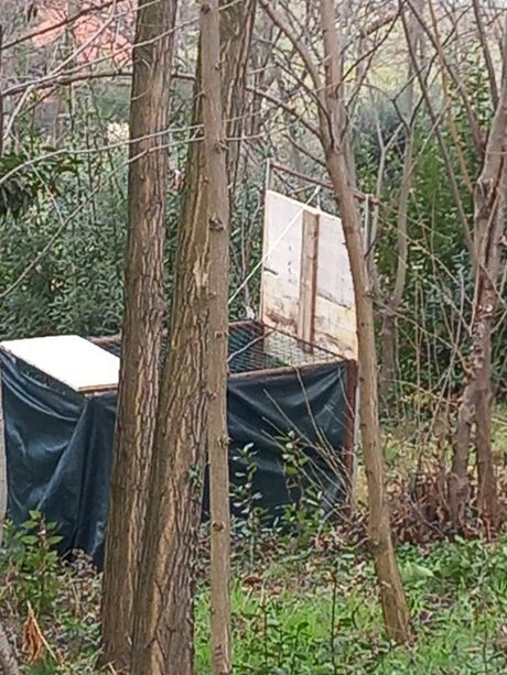 Trappole sulla collina di Pinerolo, denunciato un bracconiere Trappole sulla collina di Pinerolo, denunciato un bracconiere