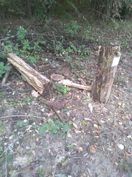 Villafranca Piemonte: vandali devastano il museo a cielo aperto lungo il Po Villafranca Piemonte: vandali devastano il museo a cielo aperto lungo il Po