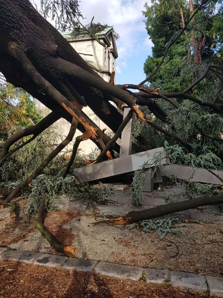 Maltempo, alberi crollano al cimitero Monumentale: tombe danneggiate