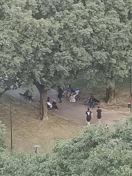 Droga e degrado, un'altra voce da Torino Sud: &quot;I giardini di corso Caio Plinio ormai sono terra di spacciatori&quot;