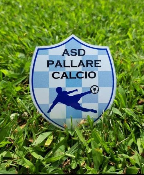 Calcio, Pallare. Massimo Brignone non è più il tecnico dei valbormidesi Calcio, Pallare. Massimo Brignone non è più il tecnico dei valbormidesi