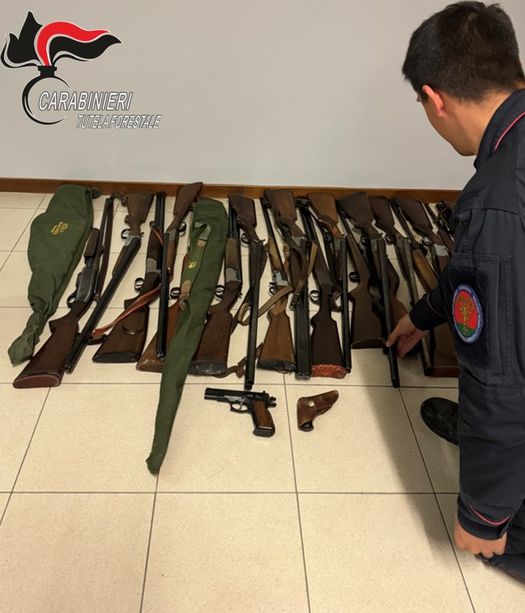 Trenta armi e 487 munizioni ritirate dai carabinieri forestali in Valle Po Trenta armi e 487 munizioni ritirate dai carabinieri forestali in Valle Po