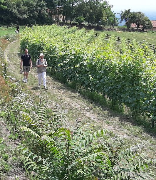 Il sindaco di Pinerolo vieta la caccia a Costagrande