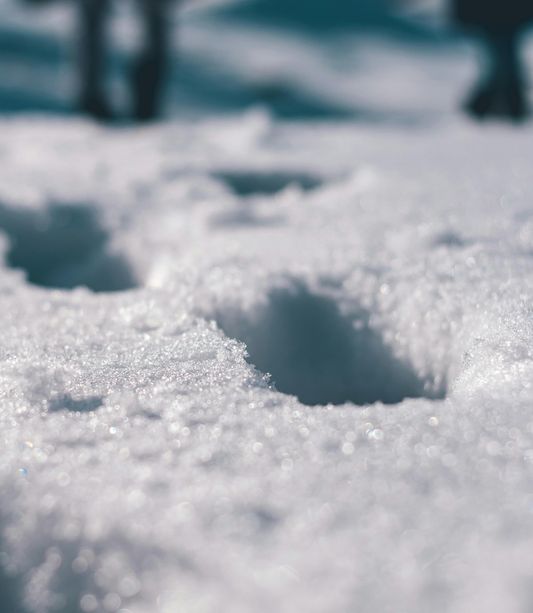 È previsto rischio forte di valanghe a Pasqua e Pasquetta in alta Val Pellice È previsto rischio forte di valanghe a Pasqua e Pasquetta in alta Val Pellice