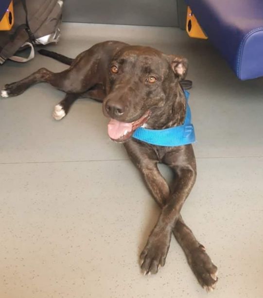 La Uisp Piemonte per l’8 marzo cammina al chiaro di luna