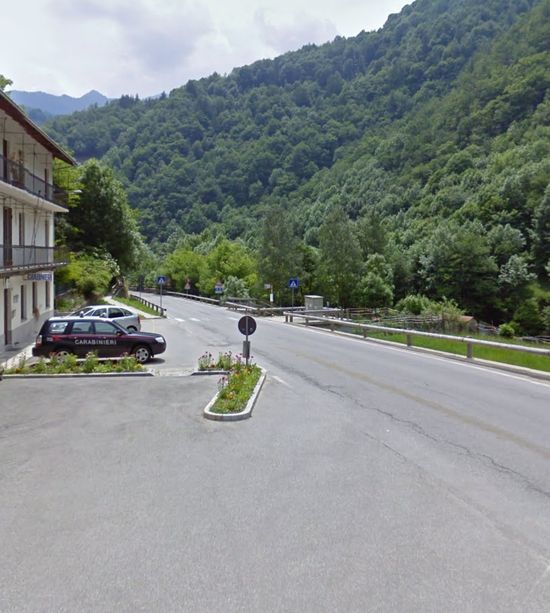 Cane ucciso da un proiettile in testa a Perrero