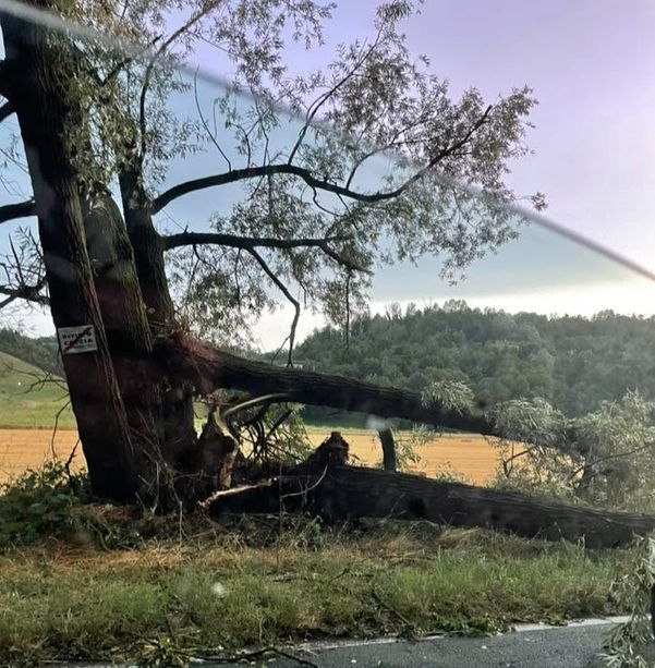 Temporale e grandine su Asti e dintorni, oltre venti interventi dei vigili del fuoco [VIDEO]