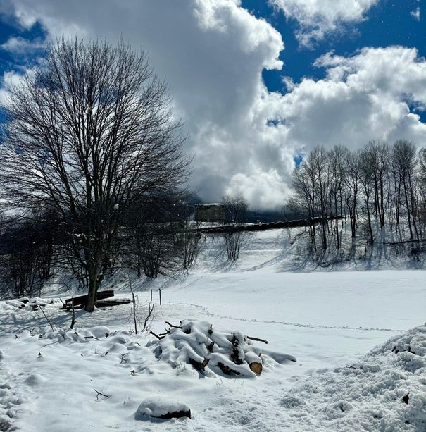 Il Piemonte sguazza nella neve (+62%) e si ritrova con tutti i fiumi pieni d'acqua Il Piemonte sguazza nella neve (+62%) e si ritrova con tutti i fiumi pieni d'acqua