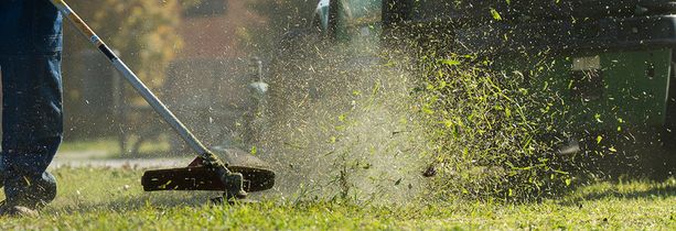 Verde pubblico: secondo taglio al via, ma non tutte le Circoscrizioni potranno farne tre. Ed è allarme vandali Verde pubblico: secondo taglio al via, ma non tutte le Circoscrizioni potranno farne tre. Ed è allarme vandali