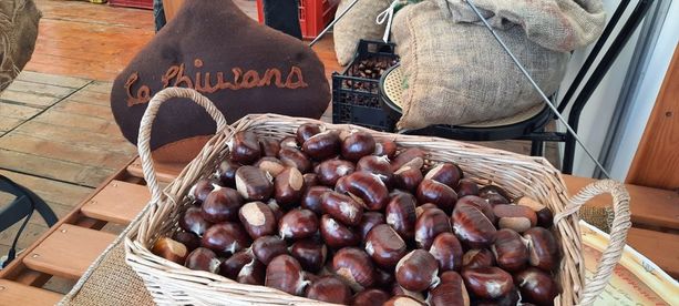 Proposte per trascorrere nella Granda questo fine settimana d’autunno Proposte per trascorrere nella Granda questo fine settimana d’autunno