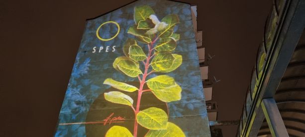 Pinerolo da stasera si veste di luci per accogliere il Natale