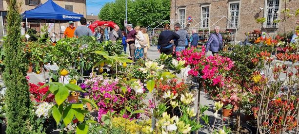 Vigone ritorna a ‘correre’ la sua Maratona Green