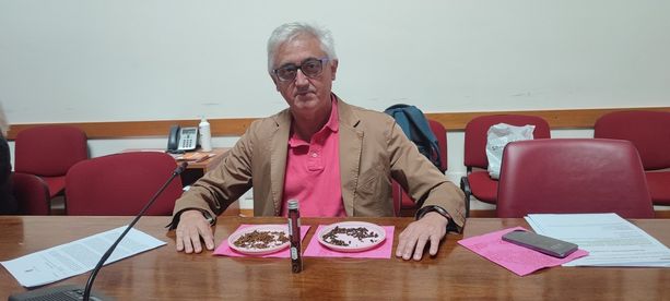 Viale replica alle colleghe di maggioranza: "Vostre accuse calunniose: c'è una caccia alle streghe"