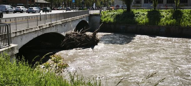 Il giorno dopo la piena, ecco la situazione di Po e Dora tra zone chiuse, detriti e un albero caduto [FOTO]