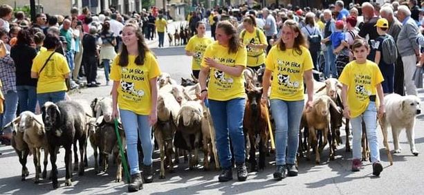 A Bobbio Pellice il bestiame sfila ‘aspettando’ le bici A Bobbio Pellice il bestiame sfila ‘aspettando’ le bici