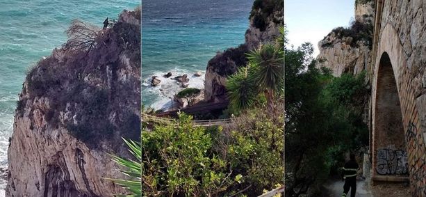 Ventimiglia, albero pericolante sui binari: iniziate le operazioni di rimozione (Foto)