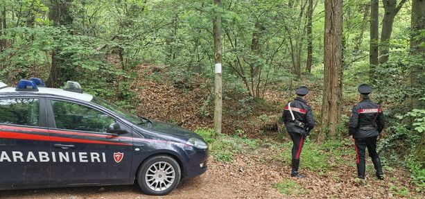 Blitz contro lo spaccio nei boschi tra Sesto Calende e Mercallo: banda della droga in manette