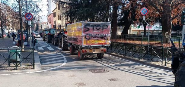 Troppi cinghiali: flash mob di trattori in centro a Chivasso Troppi cinghiali: flash mob di trattori in centro a Chivasso