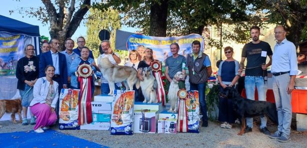 I cani diventano protagonisti della domenica di Cavour
