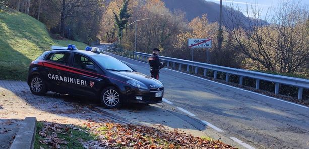 Furgone rubato in Valcuvia, scatta l'inseguimento. Il fuggitivo cerca di investire i carabinieri ma viene braccato nel bosco e arrestato